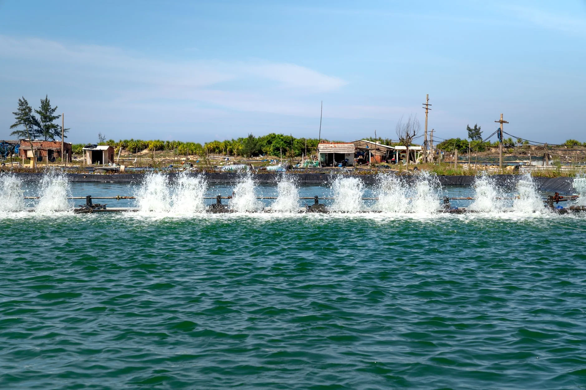 Hình ảnh vận hành