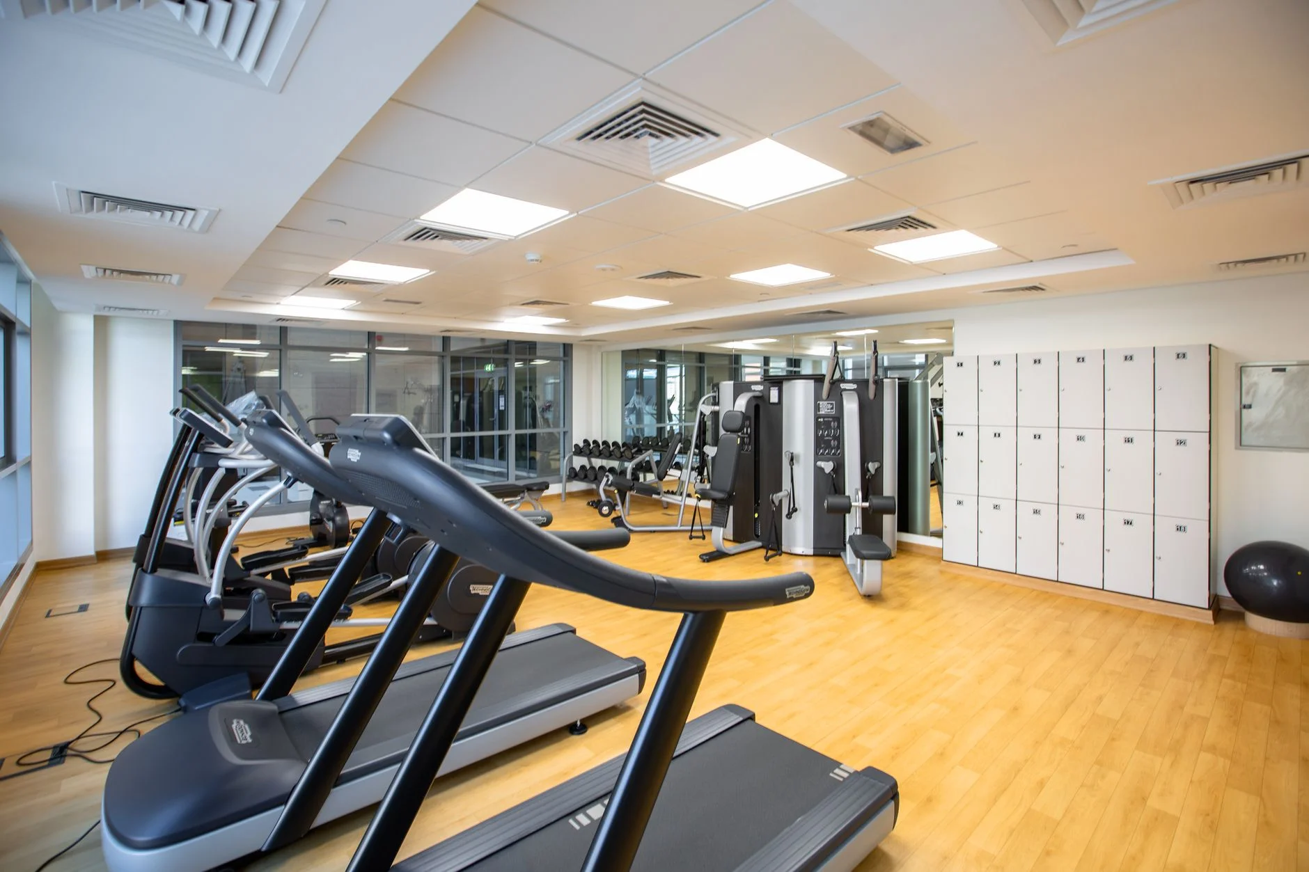 Ngành Gym / Fitness Center