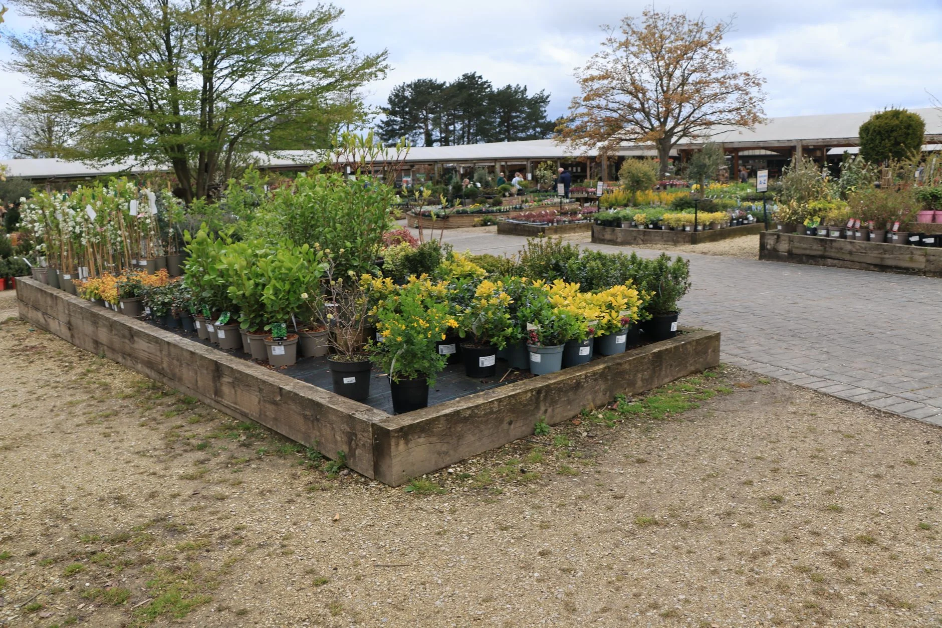 Ngành Landscaping & Garden