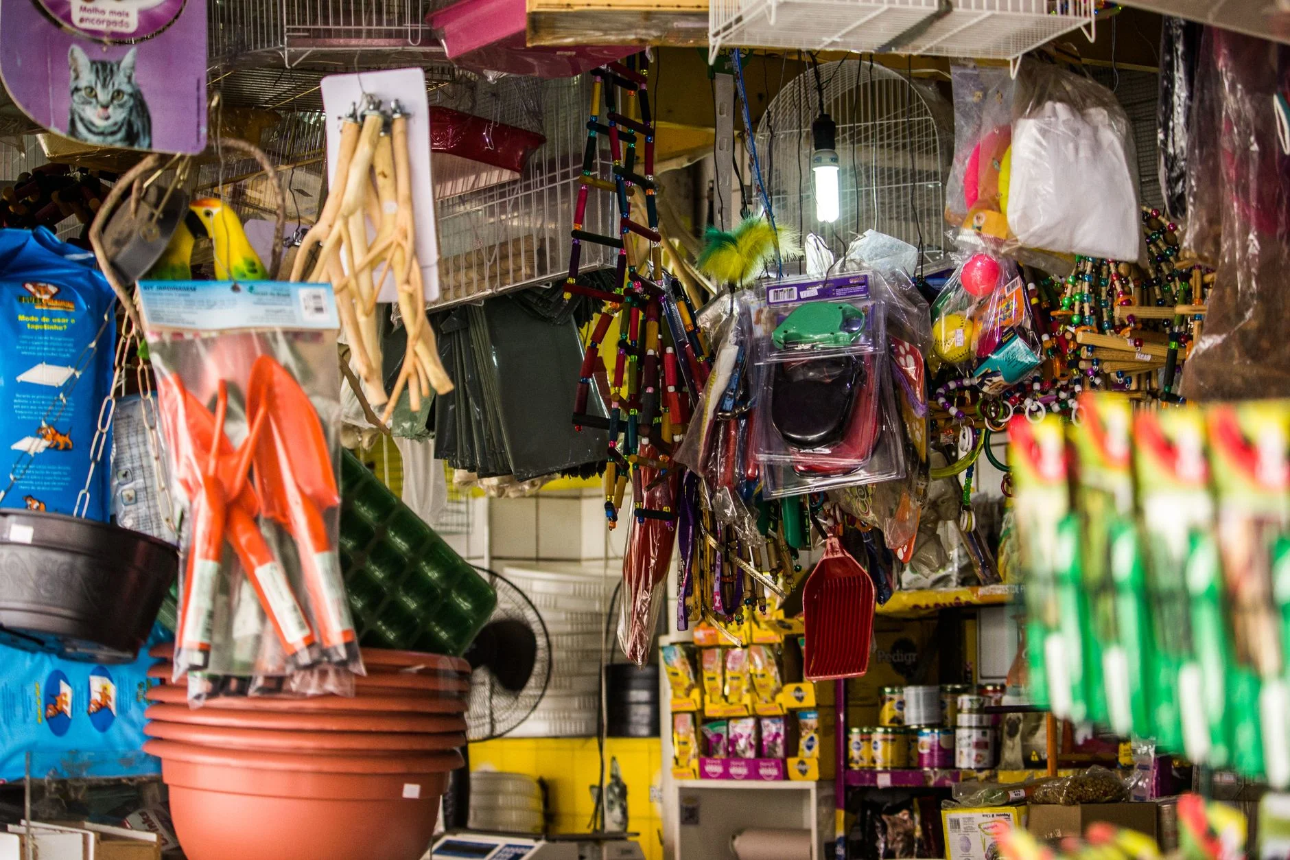 Ngành Pet Shop