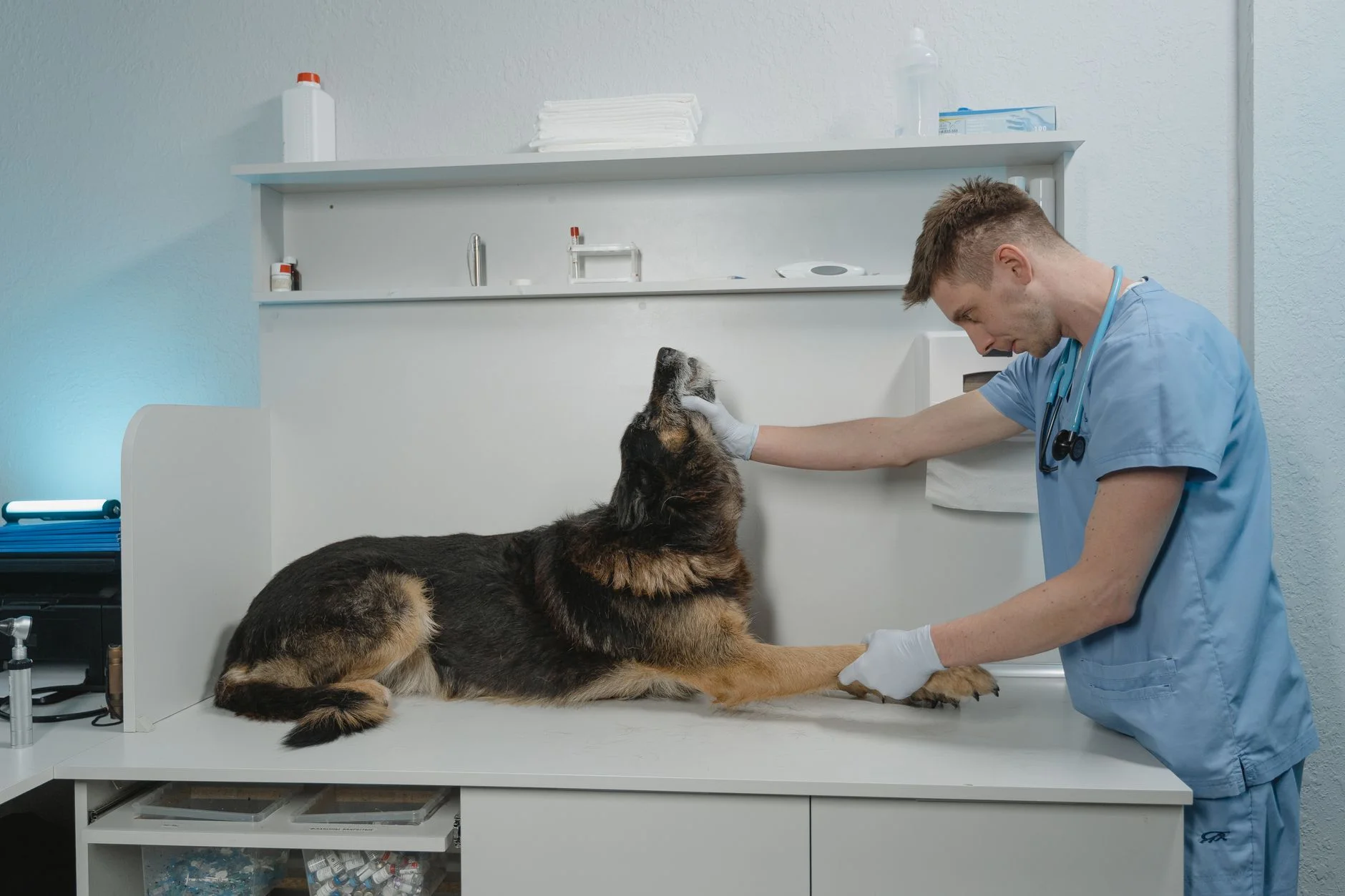 Ngành Veterinary Clinic